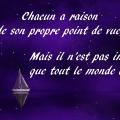 Chacun a raison