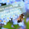 Dieu est en moi 1