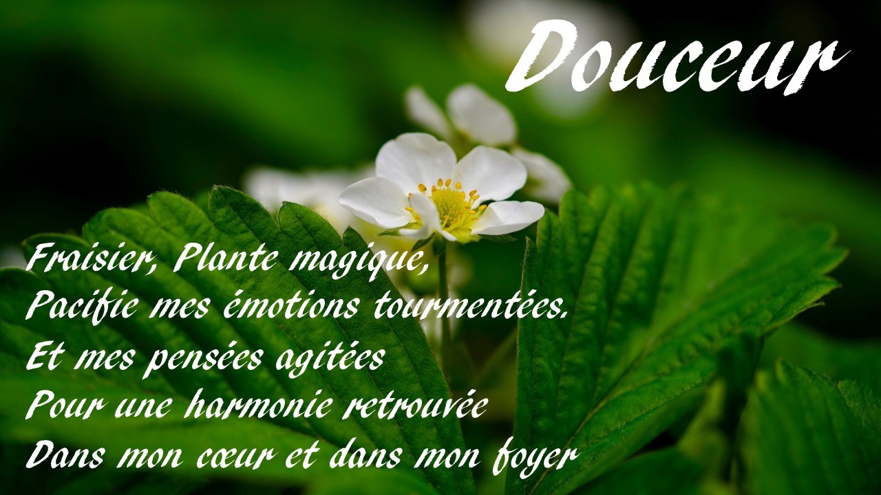 Douceur