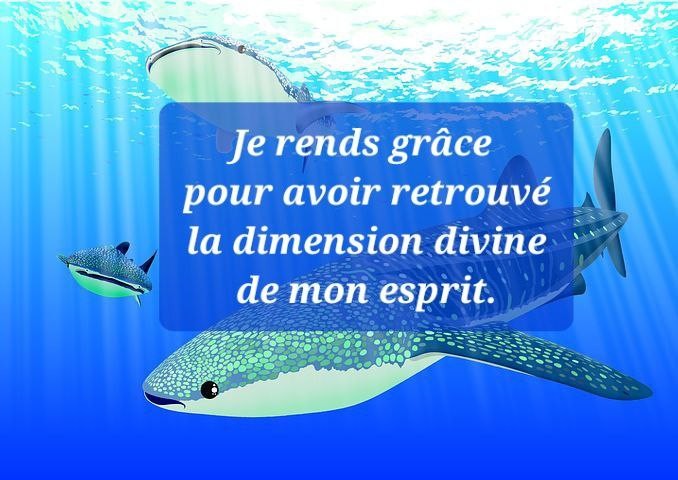 Je rends grace pour avoir retrouve
