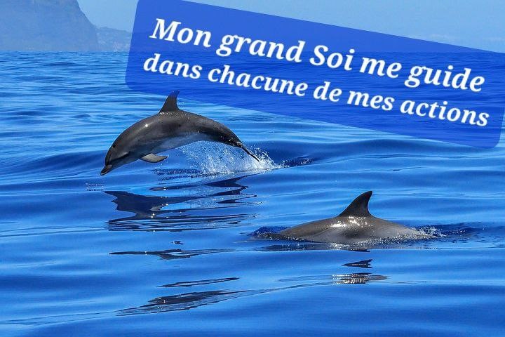 Mon grand soi me guide 1