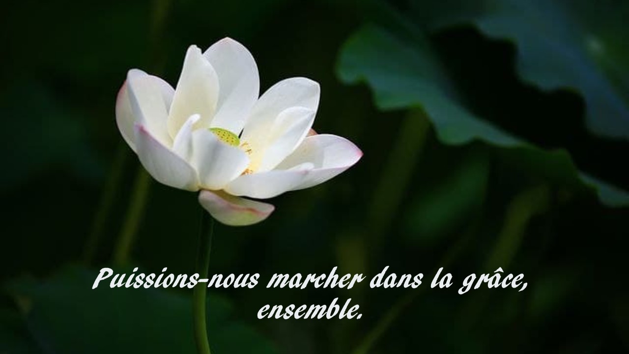 Puissions nous marcher