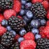 Berries 2277 340
