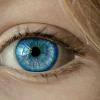 Eye 1173863 1281