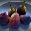 plat de figues