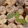 Figs histoire
