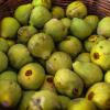 Fruit figues