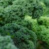 Kale