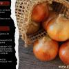 Oignons farcis