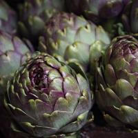 Artichoke 3386681 1280