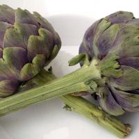 Artichokes 1101 1280