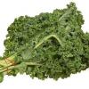 Chou kale vegetables
