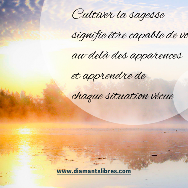 Cultiver la sagesse