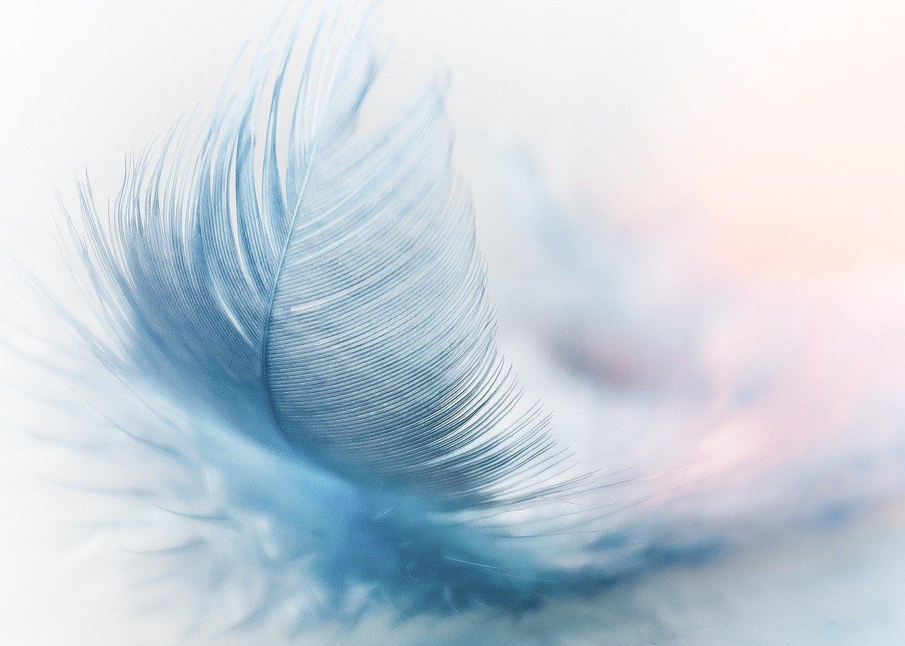 Feather 3010848 1280