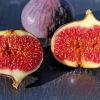 Figs figues