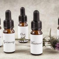 Fleurs de bach bach flower remedy 2785144 340