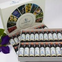Fleurs de bach bach flower therapy 1543107 340