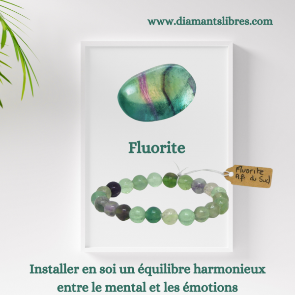 Fluorite elastique 2 