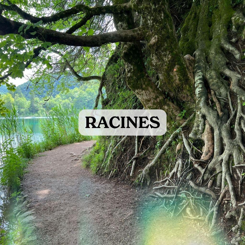 J347 racines