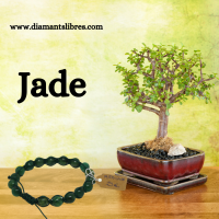 Jade 7