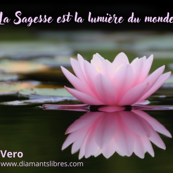 La sagesse est la lumiere du monde