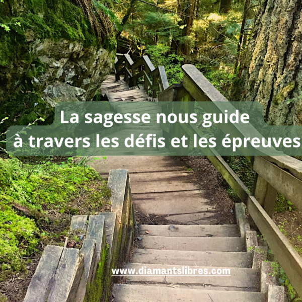 La sagesse nous guide