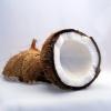 Noix de coco coconut 1125 340