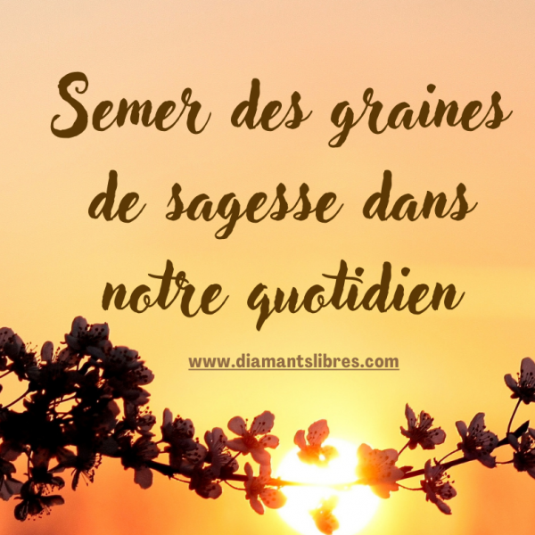 Semer des graines de sagesse