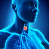 Thyroide